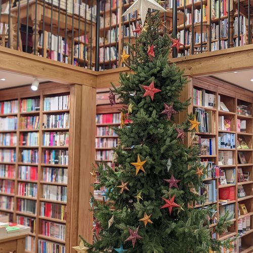 PXL_20211205_163053570.PORTRAIT