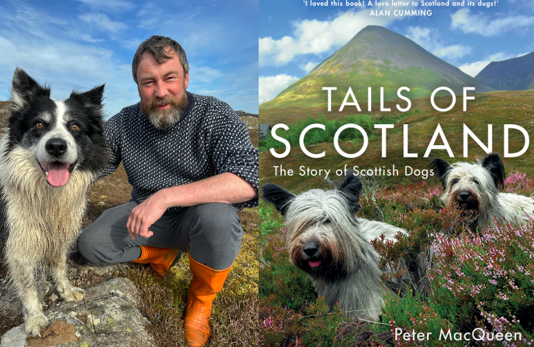 Peter Dog Banner