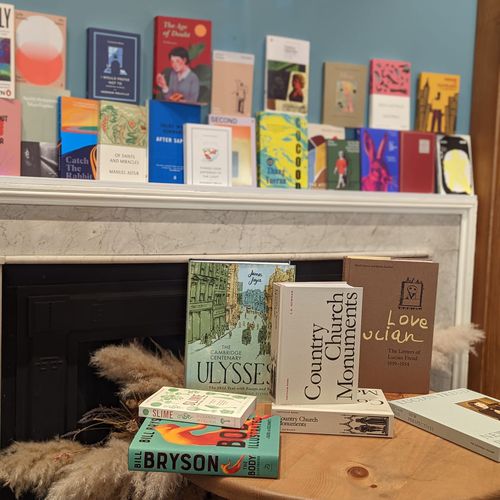 A mantelpiece of excellent books