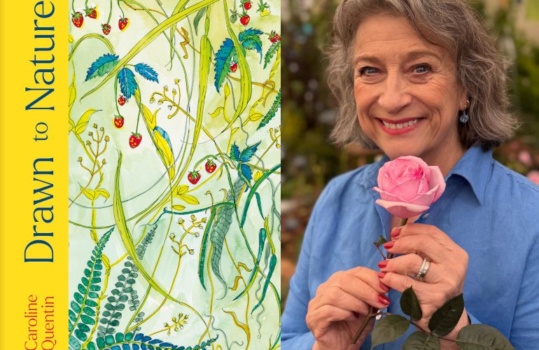 carolinequentindrawntonature