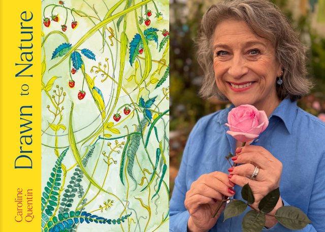 carolinequentindrawntonature