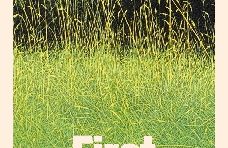 first-summer-9781398551589_hr
