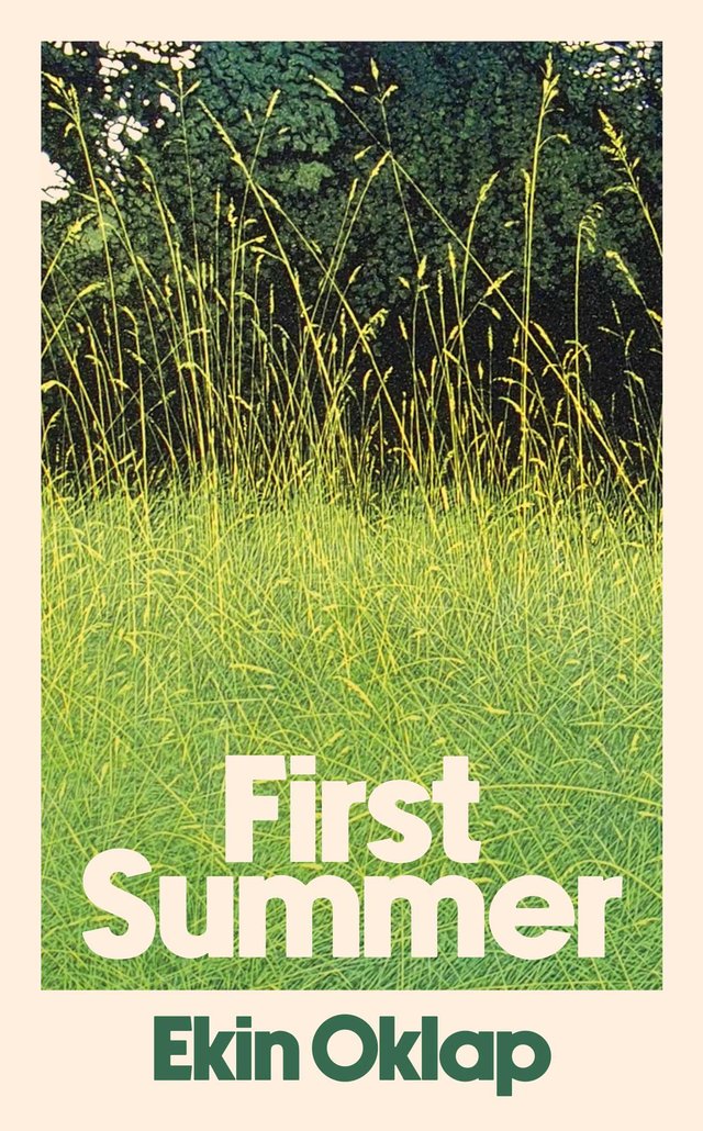 first-summer-9781398551589_hr