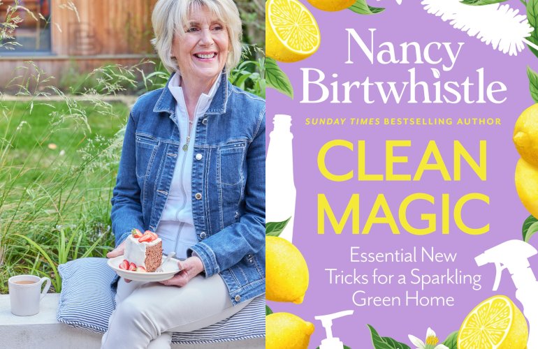 nancybirtwhistlecleanmagix