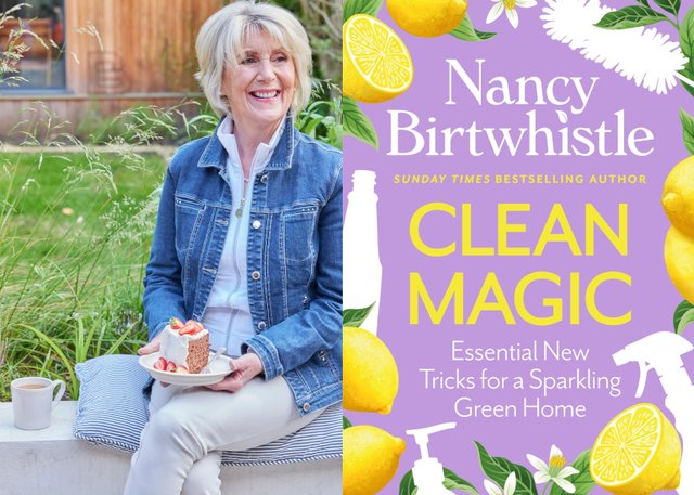 nancybirtwhistlecleanmagix