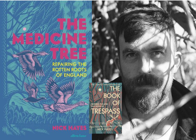 nickhayesmedicinetree