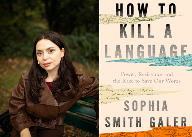 sophia smith galer banner