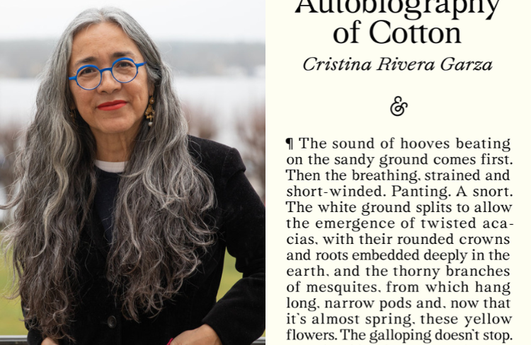 website graphics (3)