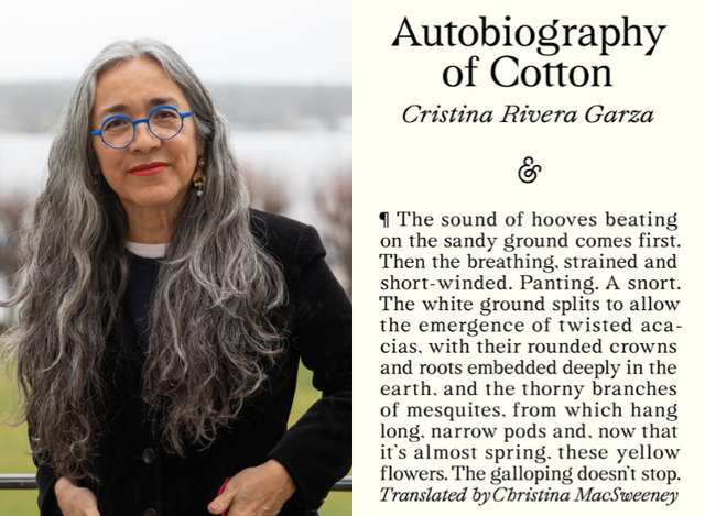 website graphics (3)