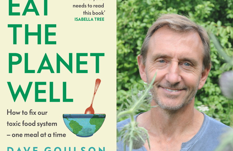 website graphics (6)